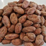 Peruvian Marañon Nacional Antiguo Cacao Beans