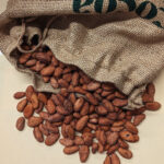 Hacienda Victoria Raw Cacao Beans - Ecuadorian Single Plantation