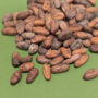 Wild Heirloom Bolivian Rio Beni Raw Beans - Wild Harvest