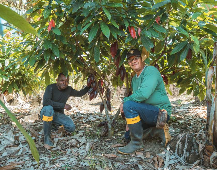 dsc02136 177 840x660 1