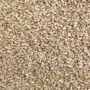ORGANIC SUNFLOWER SEEDS, raw, shelled, imported