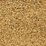ORGANIC LENTILS, Green