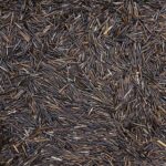 ORGANIC WILD RICE, grade A