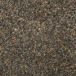 ORGANIC LENTILS, French