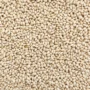 ORGANIC NAVY BEANS