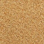 ORGANIC RICE, short grain, brown