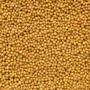 ORGANIC SOY BEANS