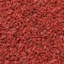 ORGANIC GOJI BERRIES
